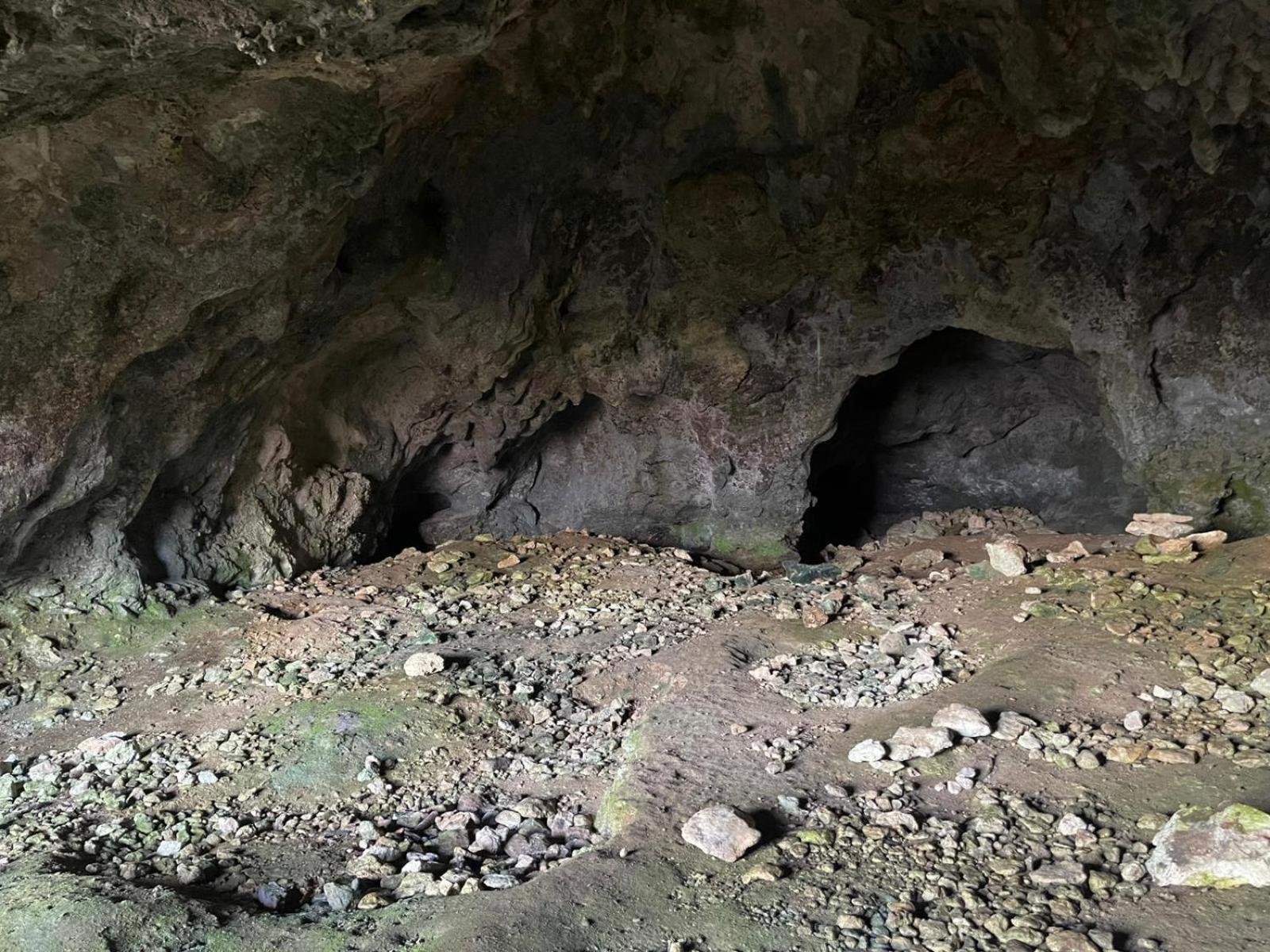 La Torretta - Incantevole Appartamento Nei Colli Berici Nanto Esterno foto