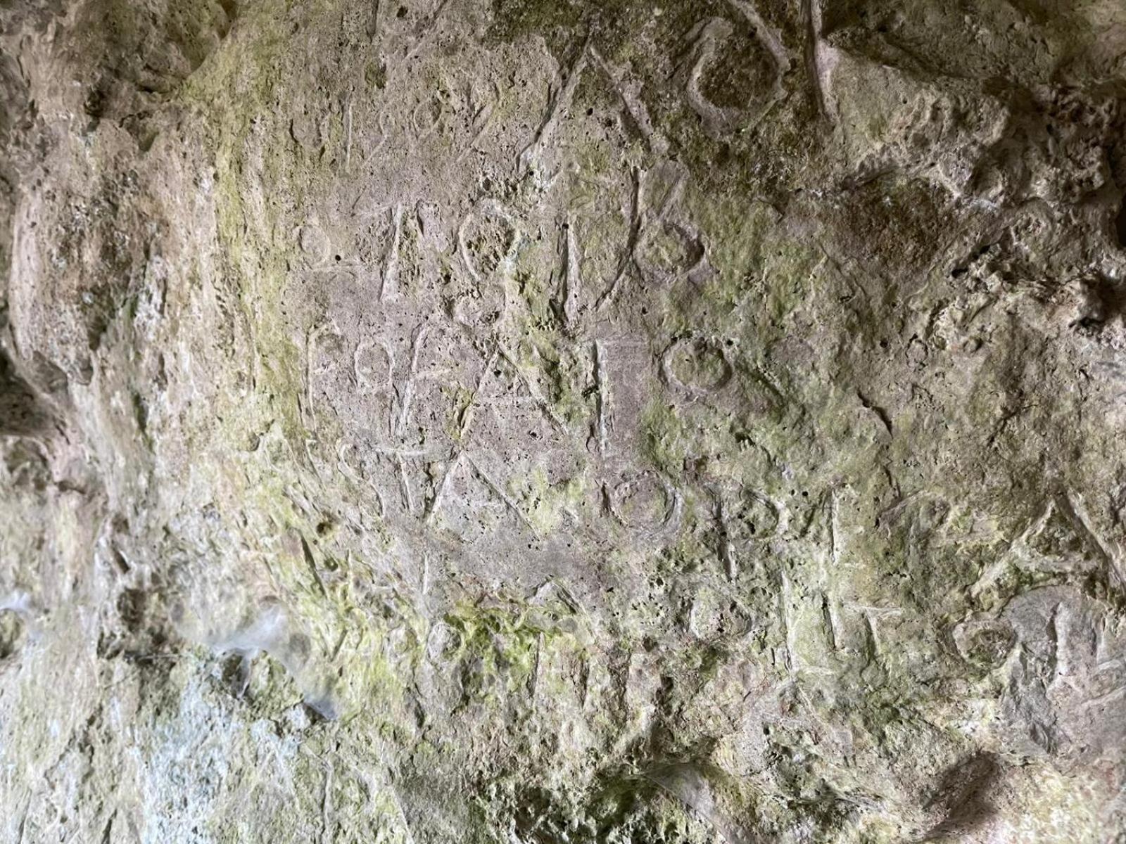 La Torretta - Incantevole Appartamento Nei Colli Berici Nanto Esterno foto