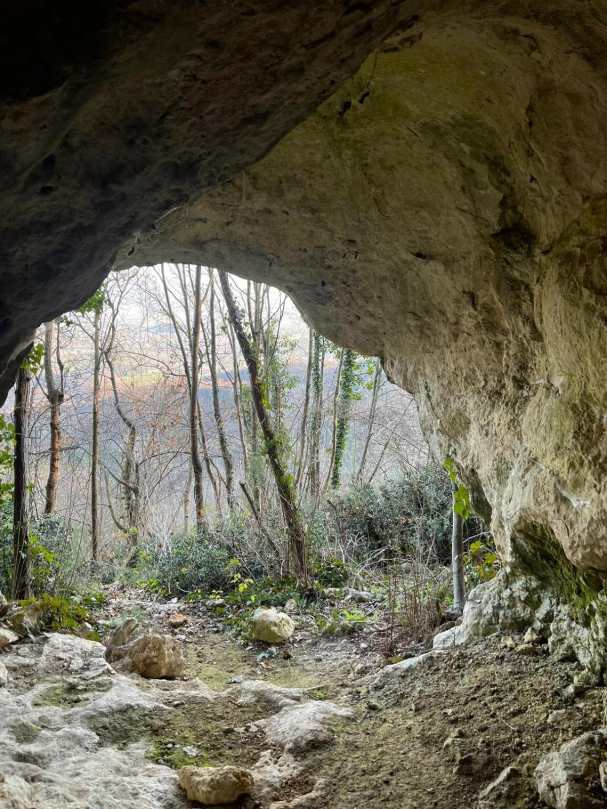 La Torretta - Incantevole Appartamento Nei Colli Berici Nanto Esterno foto
