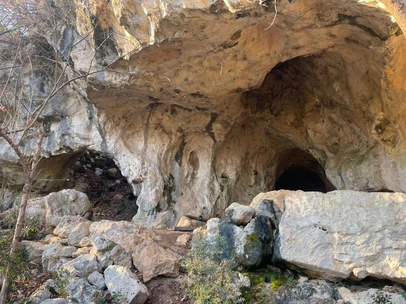 La Torretta - Incantevole Appartamento Nei Colli Berici Nanto Esterno foto