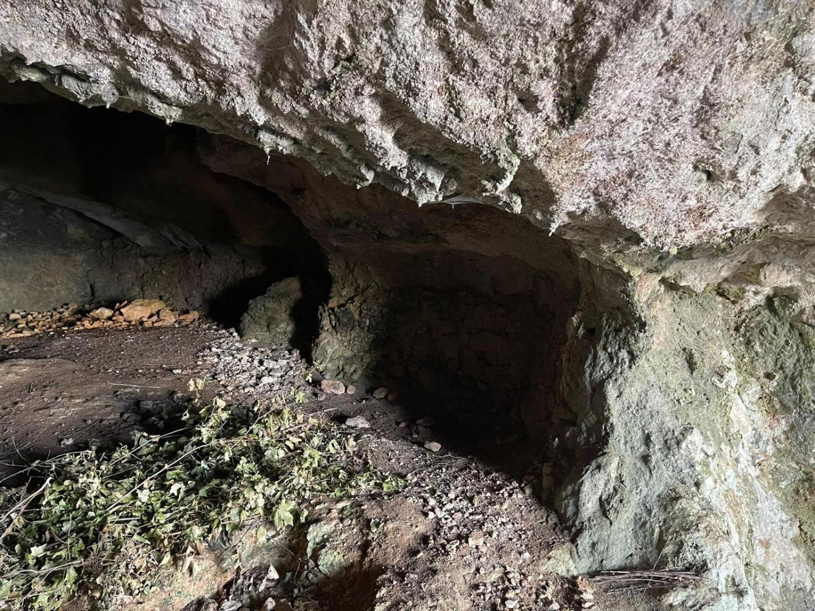 La Torretta - Incantevole Appartamento Nei Colli Berici Nanto Esterno foto