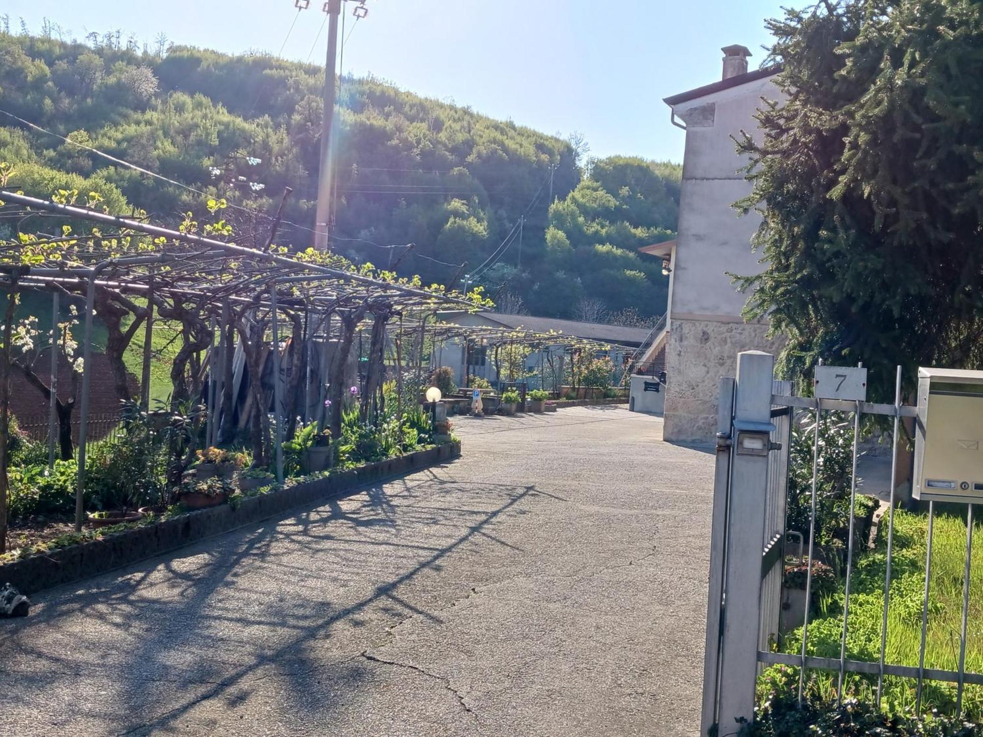 La Torretta - Incantevole Appartamento Nei Colli Berici Nanto Esterno foto