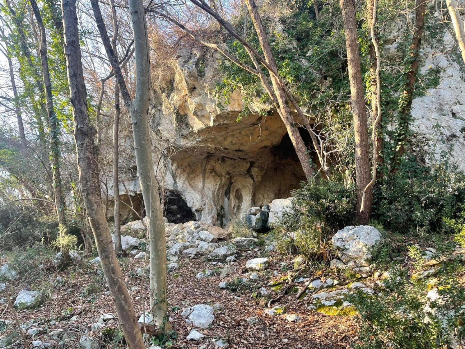 La Torretta - Incantevole Appartamento Nei Colli Berici Nanto Esterno foto